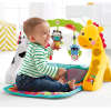  Fisher-Price Newborn to Toddler Play Gym £29.96 @ Toys R us (C&C)