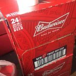 20 x 300ml Bottles of BUDWEISER