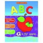Childrens Practising Writing Books - Lets learn ABC or 123 - wipe clean, pen included