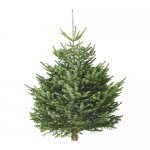 Buy Ikea Xmas tree and get £20 voucher - NOW LIVE