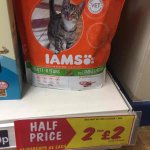 IAMS Adult 1-6 yrs cat food x2