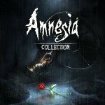 Amnesia: Collection [PS4]