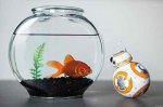 Sphero BB-8 App Enabled Droid - &pound;77.99 (Prime)