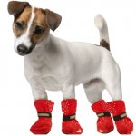 Dog wellies