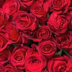 A Dozen red roses @ Various stores inc Asda, Tesco, M&S and Waitrose