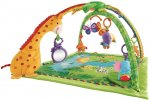 Fisher-Price Rainforest Gym