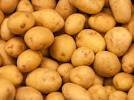 British white potatoes 1.5kg at Morrisons from Friday 18th March