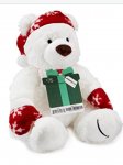 Free Christmas teddy with Amazon gift card and above (prime member deal)