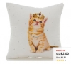 Cute Kitten Princess Cushion @ George. C&C at any Asda