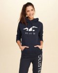 30% off selected styles and further 10% inc hoodies (£22.05) @ hollister