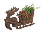 Christmas potted plants inc reindeer pots from 1.89
