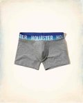 Hollister Classic Trunk - free delivery £3.99
