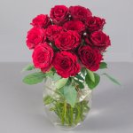 A Dozen Classic Red Roses using code