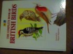 British birds