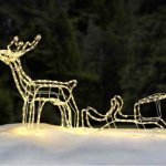 Reindeer and sleigh rope lights £16.99 - studio