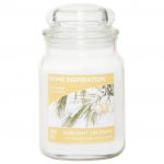 Yankee Candle Home Inspiration Sunlight On Snow Large Tumbler (home inspiration) 3 for 2 each or £13