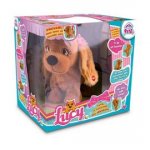 Lucy the dog