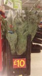 Cut needlefast nordman fir 1,5_ 1,8 m christmas tree in asda 