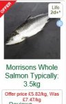 Fresh Whole Salmon