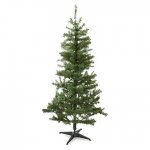 Reduced Christmas trees at Asda, starting