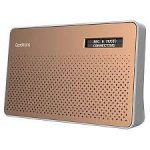 Goodmans Portable Digital & FM Radio in Copper &pound;15