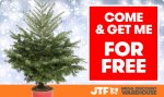 4ft Real Christmas Tree FREE @ JTF (with shop)