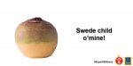 Swede now