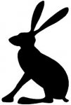 Joules sale on now