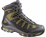 Salomon Quest 4D 2 GTX Men's Hiking Boot