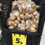 Spuds