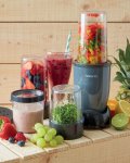 300W Mini Food Processor