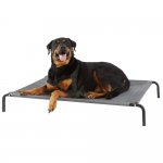 Large Raised Dog Pet Bed