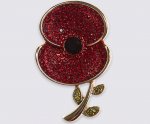 Poppy collection, small poppy badge. from £15.00 at M&S and they donate too! C&C