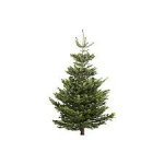 5ft Artifical Christmas Tree