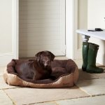 XL Dog Pet Bed
