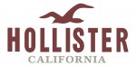 HOLLISTER SALE: ALL SALE (This weekend only)