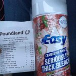 Poundland bleach twin pack