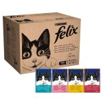 Felix Wet Cat Adult Food Pouch, 120 x 100 g + 5% or 15% with S&S OR (80 x 100g) &pound;11.45
