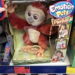 Emotions pet monkey
