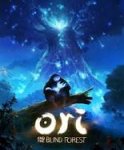 Ori and the Blind Forest Definitive Edition - Windows 10 store through app (Ukraine)
