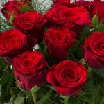 18 (boxed) Red Roses Bouquet £10 & 12 Roses Bouquet