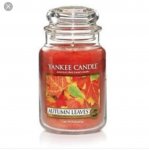 Yankee Medium Candle Jar Shades Of Autumn