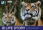 Free BBC Life Story Poster delivered