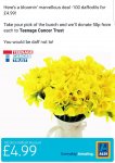 100 Daffodils (includes 50p donation to Teenage Cancer Trust) Valentines gift?