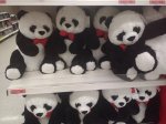 Instore. Sainsbury's valentine's range inc giant cuddly panda