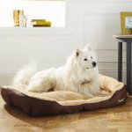 Dog Bed XX-Large Free Deliver
