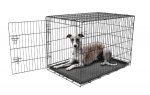 Carlson Large Dog Crate