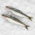 Morrisons fish counter whole herrings instore