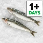 Tesco fish counter whole cornish sardines