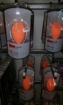 Real Techniques Miracle Complexion Sponge